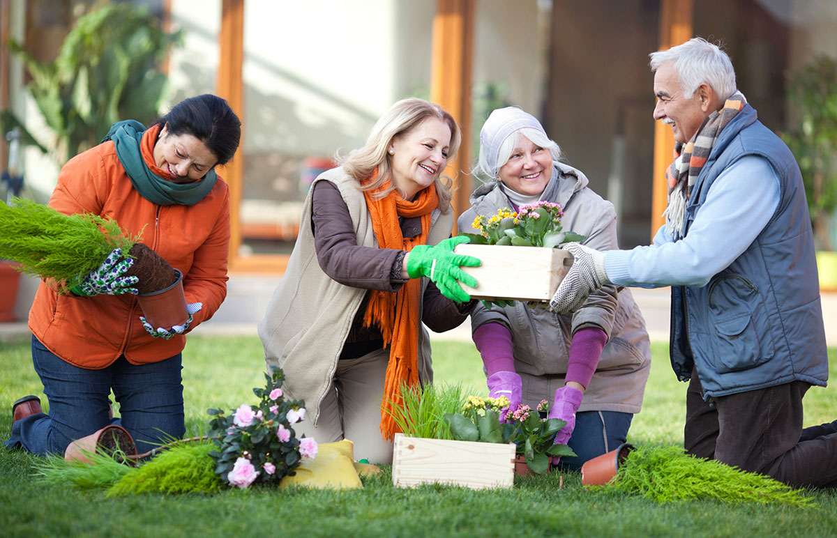 anziani impegnati in attività di giardinaggio con educatore tutor